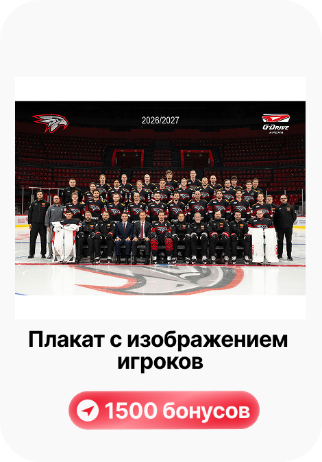 Толстовка Авангард - 800 баллов